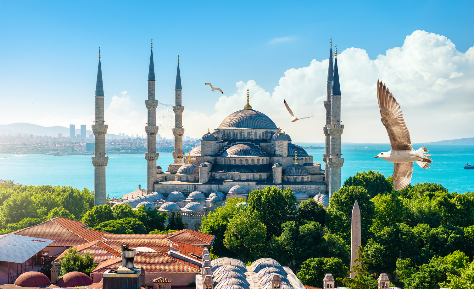 Mezquita Azul, Estambul
